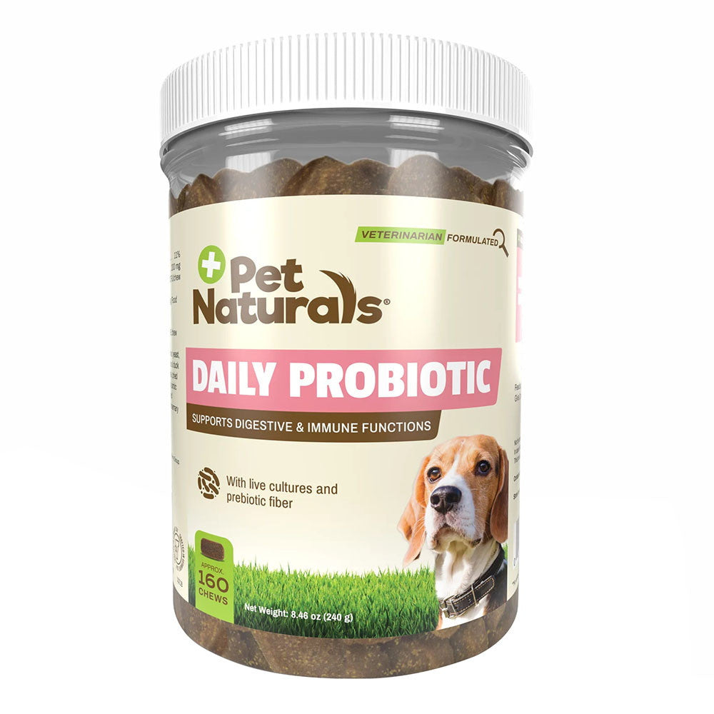 Pet Naturals Daily Probiotic Chews for Dogs, Immune Support, 160 Ea